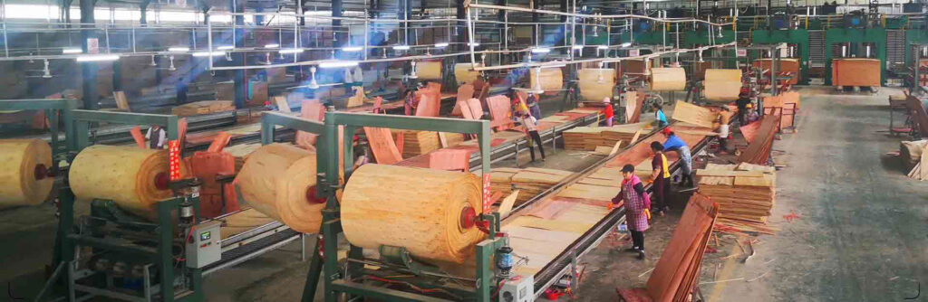 plywood paving line