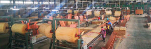 plywood paving line