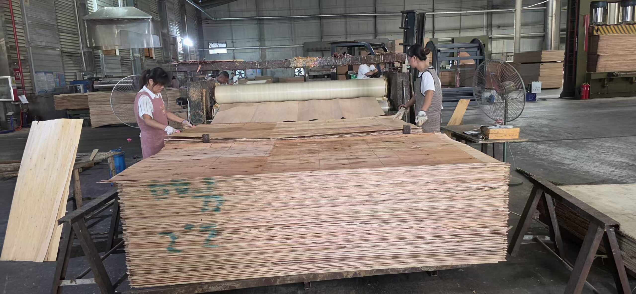 Vietnam plywood factory
