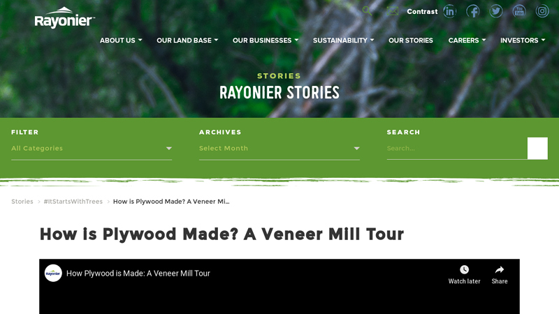 How is Plywood Made? A Veneer Mill Tour factory