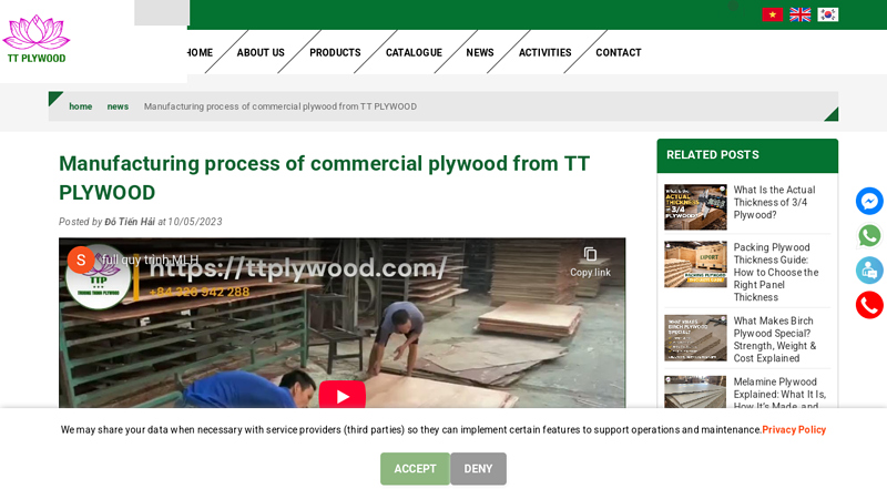 Manufacturing Process Of Commercial Plywood factory