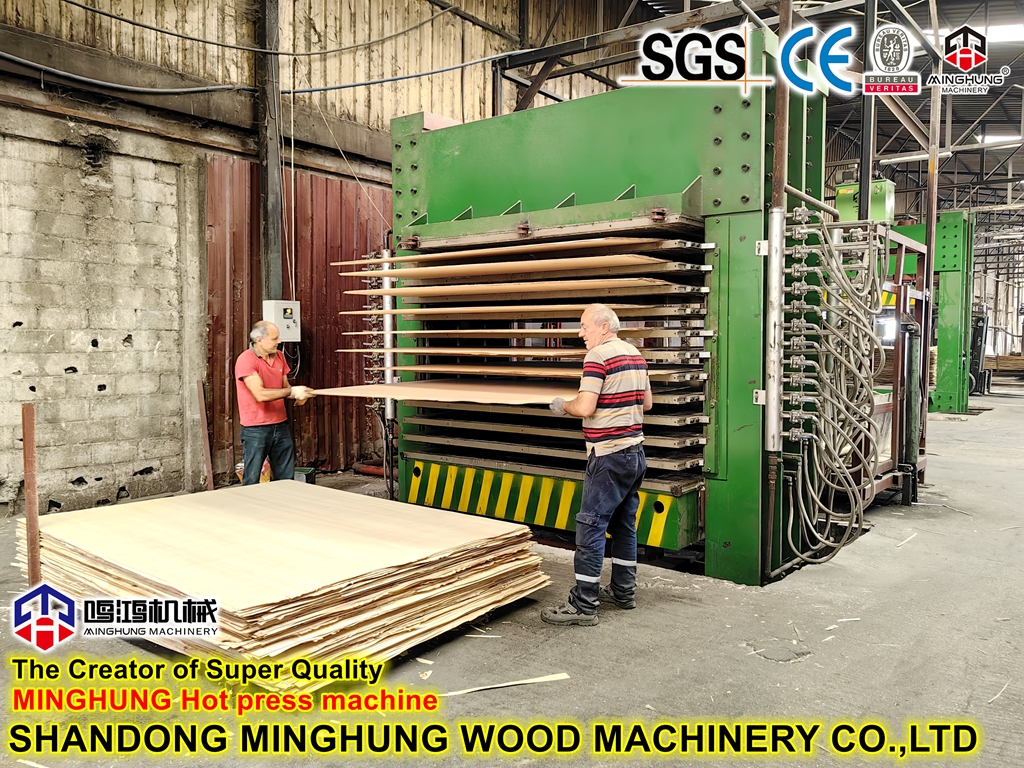 Plywood Hot Press machinery insight