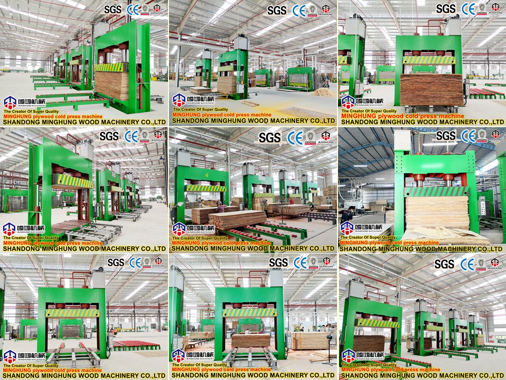 Plywood   In machinery insight