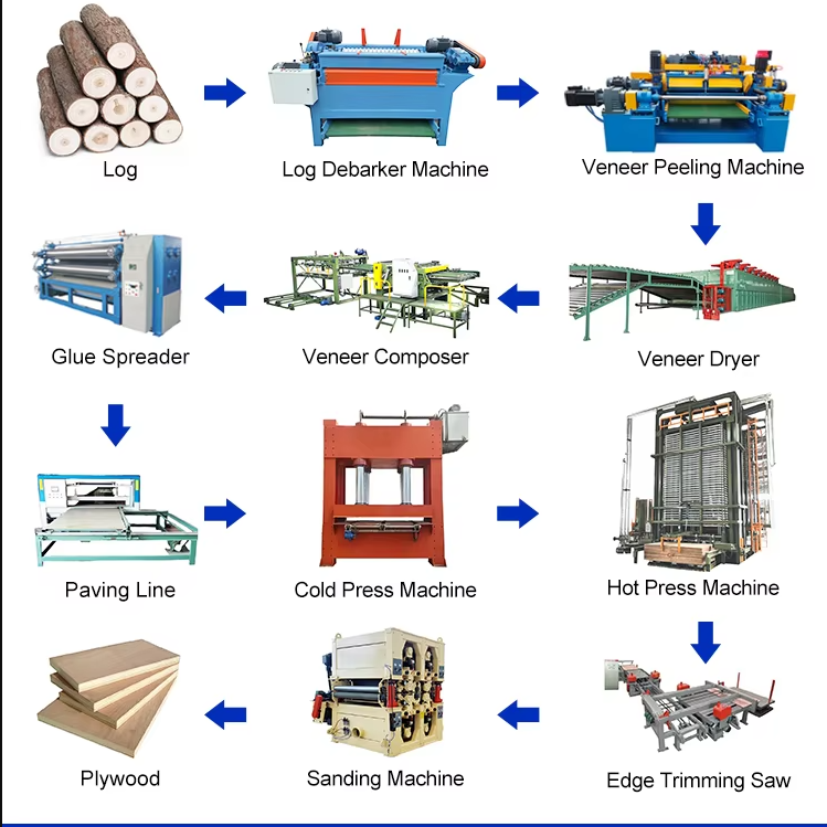 Plywood Production Line machinery insight