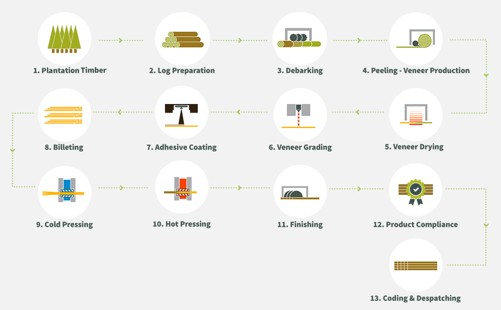 Plywood Production Proces factory